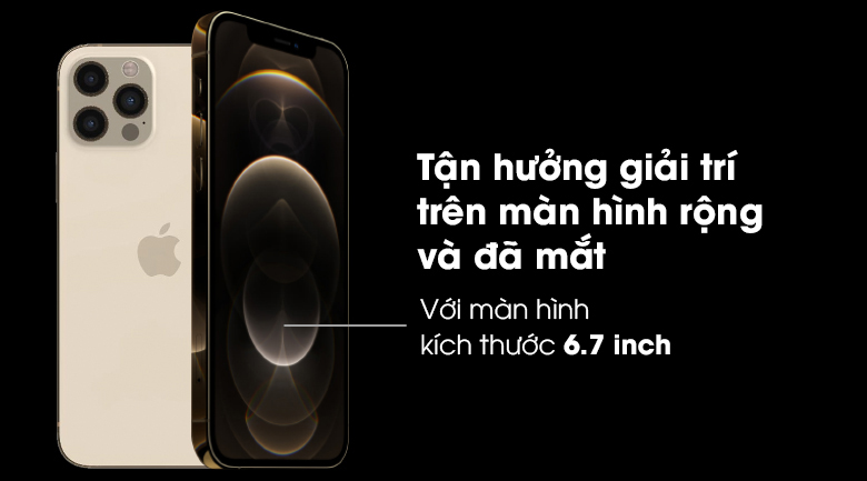 iphone 12 pro max kichthuoc